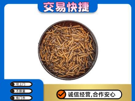 高价回收散虫草